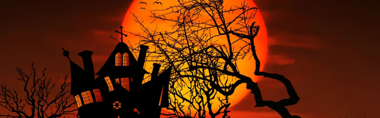 Vienna’s Halloween Traditions and Events